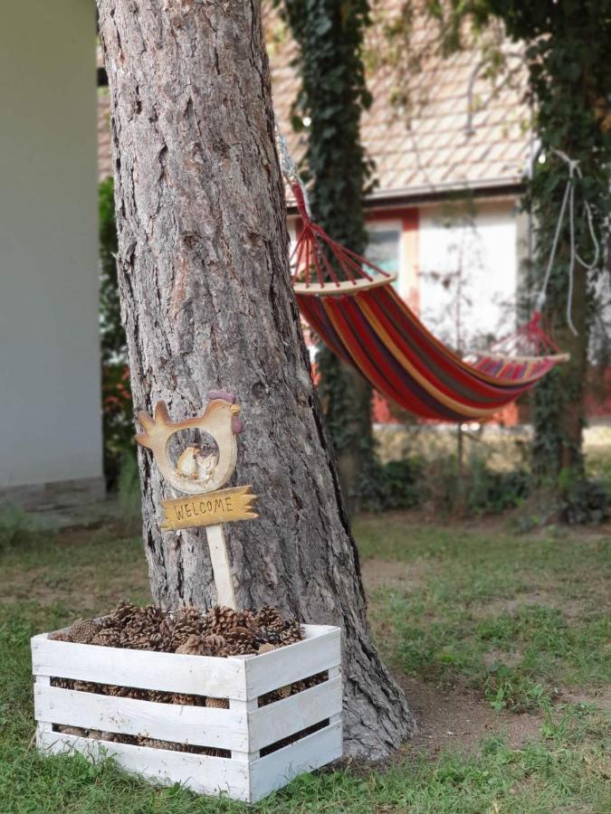 Palicka Oaza 155 Apartman Kültér fotó